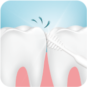 تكنولوجيا بوليتدان