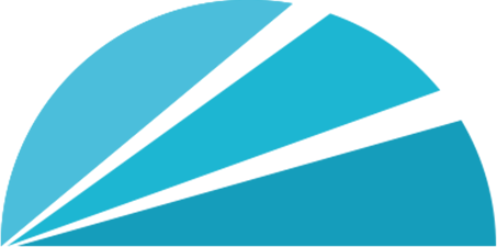 تكنولوجيا بوليتدان