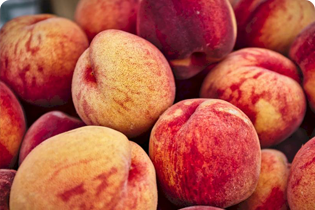 تكنولوجيا بوليتدان