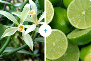 أوركيد + ليمون