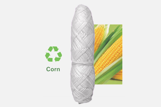 تكنولوجيا بوليتدان